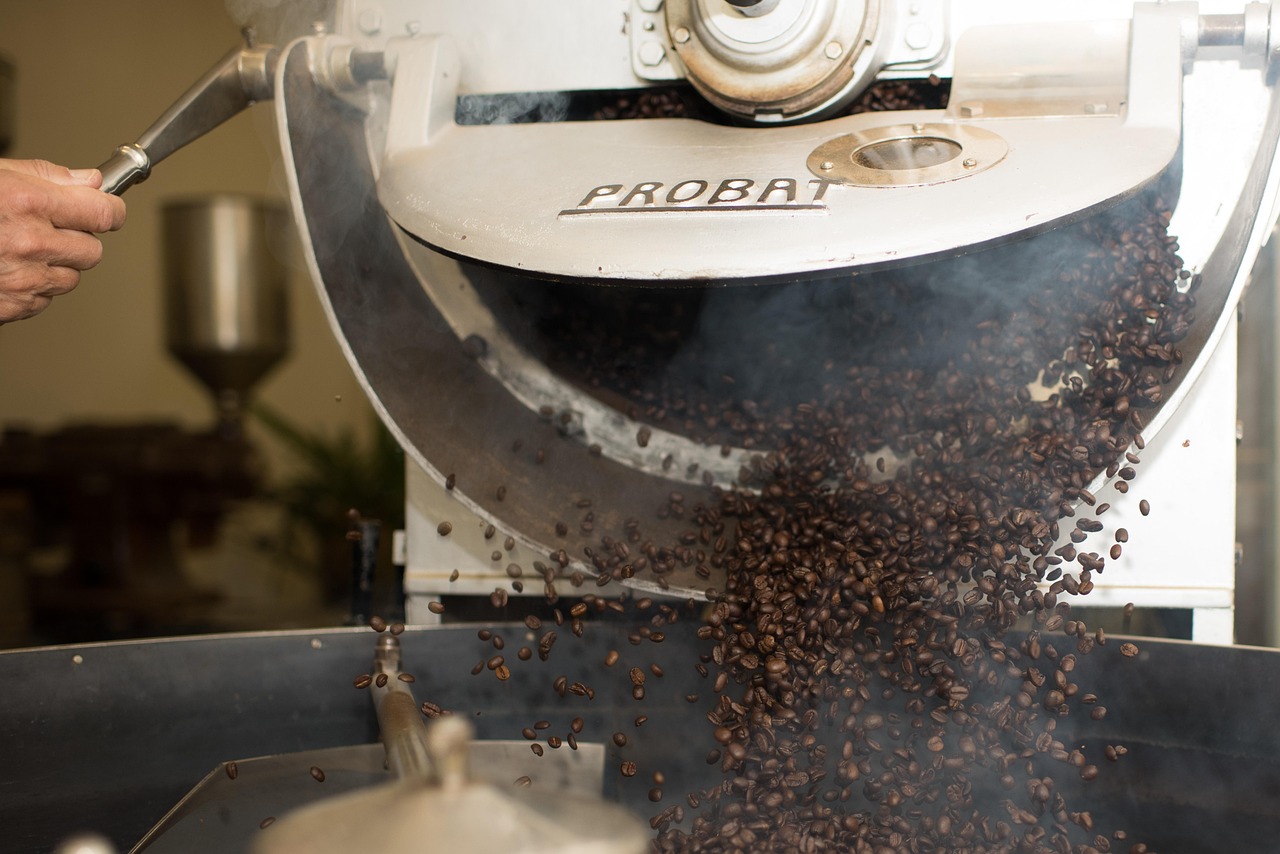 Freshly roasted coffee beans in a cooling tray
